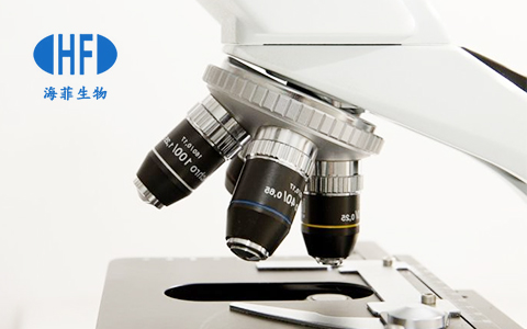 海(hǎi)菲生物(wù)